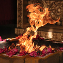 Interactive Fire Lab