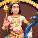 Interactive Fire Lab