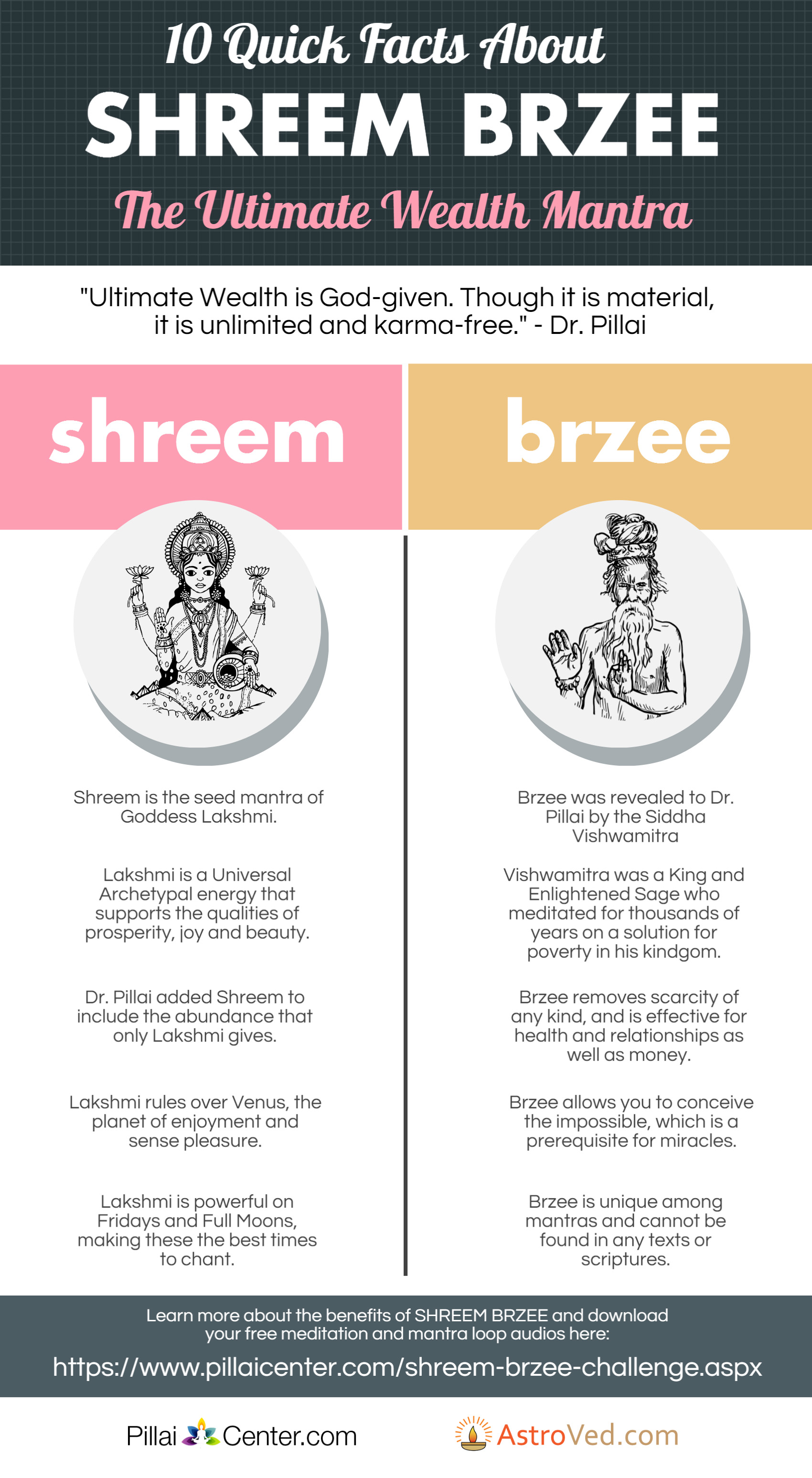 10 Facts about Shreem Brzee