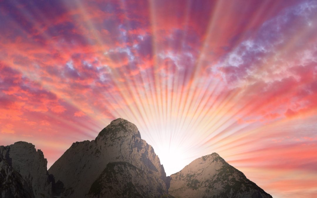 Accelerate Your Evolution Towards Godhood