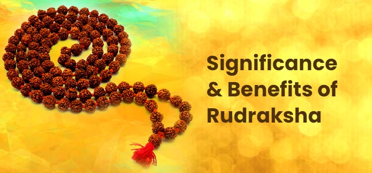 Significance and Benefits of Rudraksha