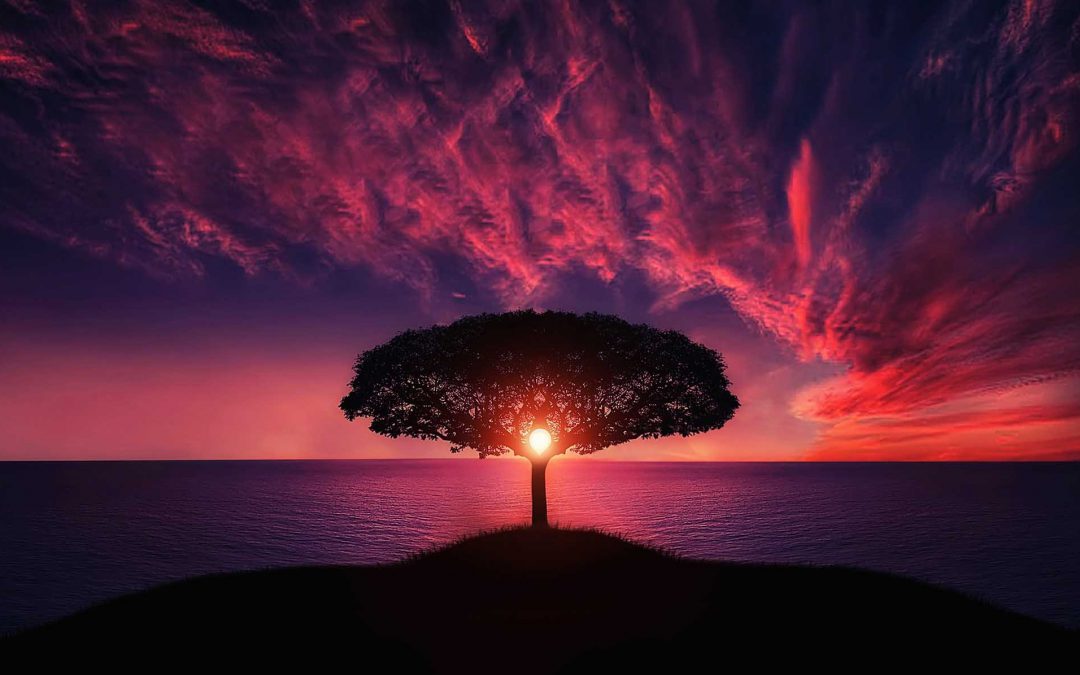 Manifest Wealth with Shreem Brzee: August 2022