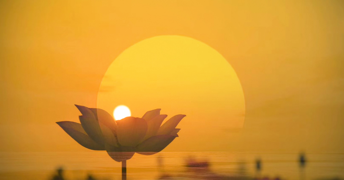 sun behind lotus flower