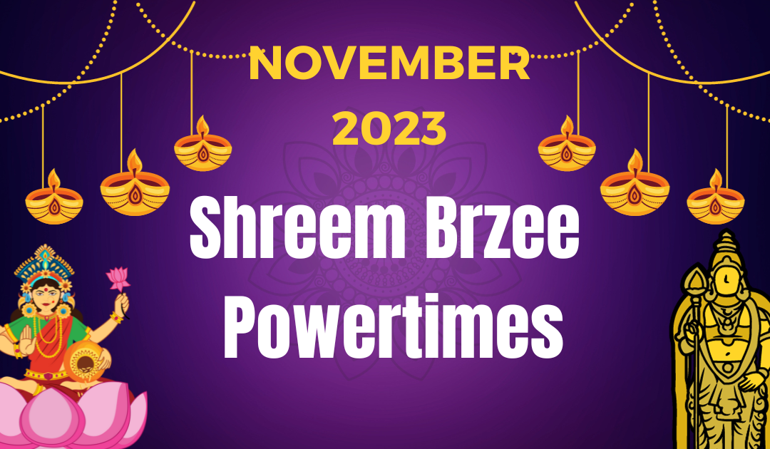 Shreem Brzee Powertimes: November 2023