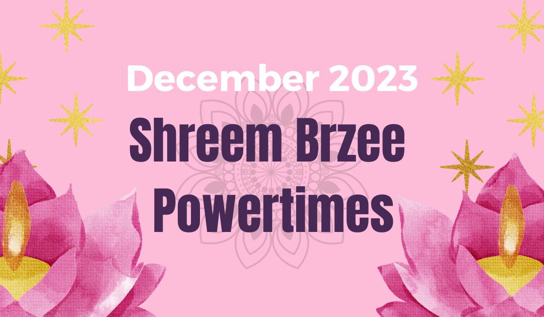 Manifest with Shreem Brzee: December 2023