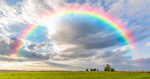 Rainbow on the blue sky and green grass