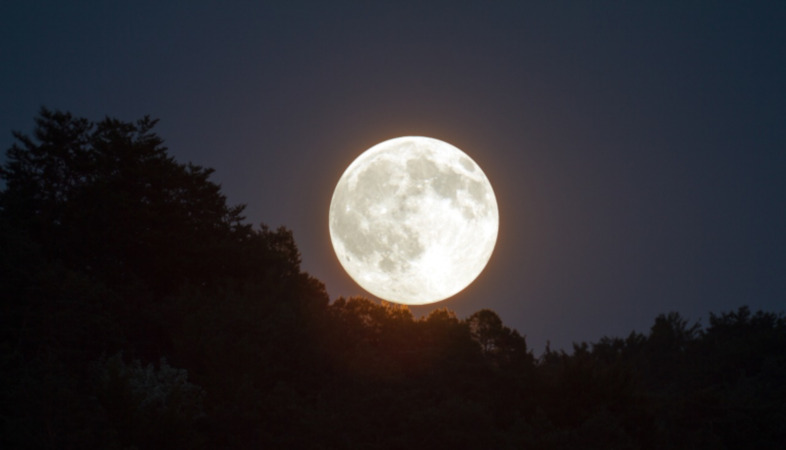 Powertime: Full Moon Thanksgiving: Unite in Full Gratitude