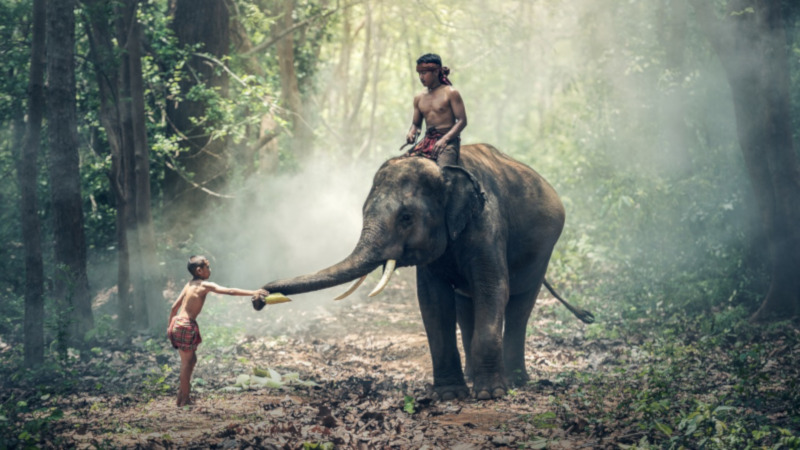 Powertime: Fulfill Honest Wishes with Kshipra Ganesha, the Rewarder