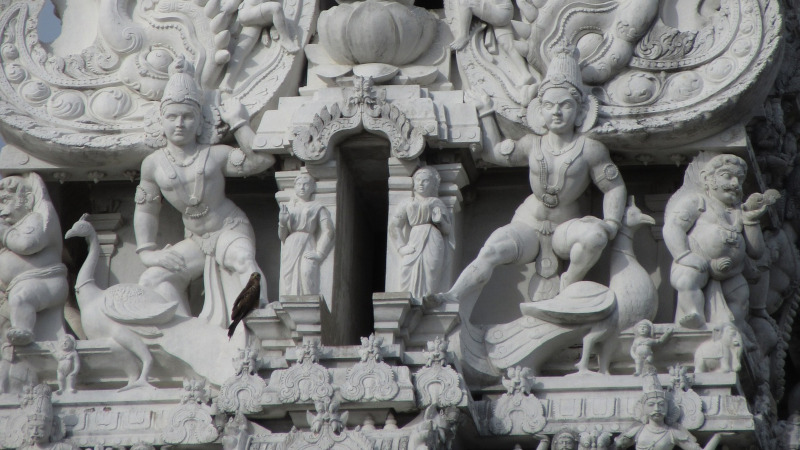 Powertime: Awaken Your Wisdom with Muruga