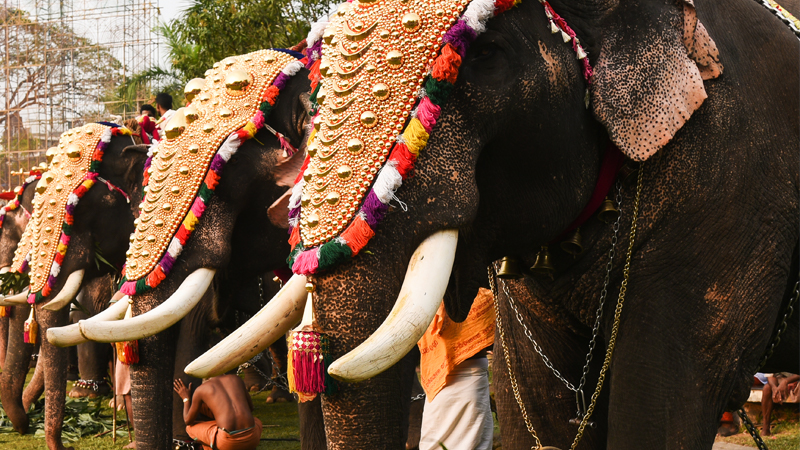 The Significance of Onam: The Incredible Story of One of the Greatest Rulers Ever