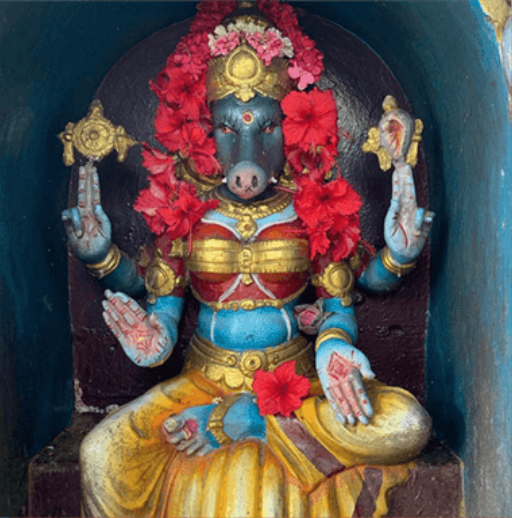 meet the performer goddess of 2020 pillai center blog meet the performer goddess of 2020