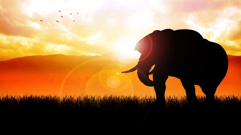 Coming Soon: Eclipse/Summer Solstice/New Moon June 20