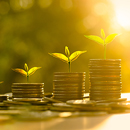 Wealth Consciousness