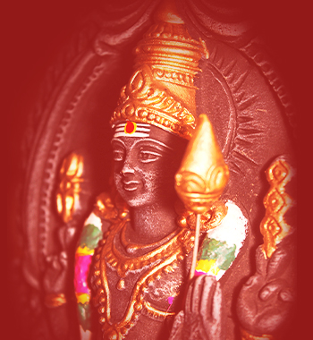 Muruga Muruga