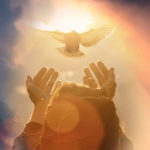 Three Mastery Workshops