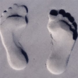 Guru Feet Cube