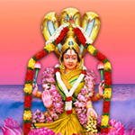 48 Days Program – Brzee Goddess
