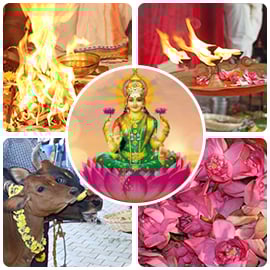 Mahalakshmi Rising Basic Package