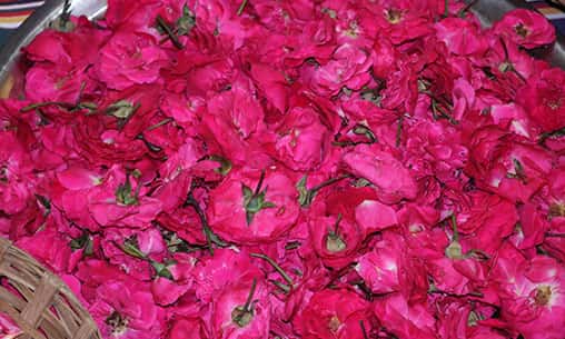 Sri Suktam Pushpanjali (Flower Offering for Prosperity Blessings) at Kerala Powerspot