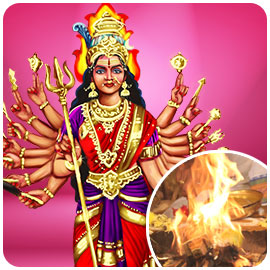 Individual Angali Fire Lab