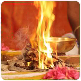 Sponsorship of Fruits and Flowers to Fire Lab