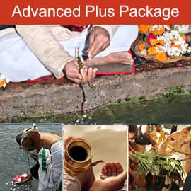 1-Year Tarpanam Program Advanced Plus Package