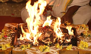 Individual Ayush Homa