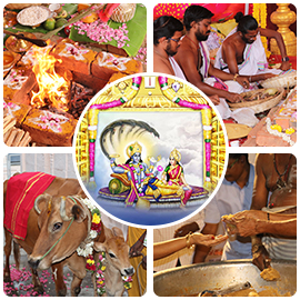 Vaikunta Ekadasi Advanced Package 
