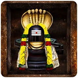 Temple Services to Shiva