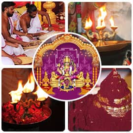 Vasant Navaratri Three Days Basic Package