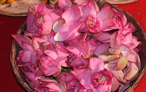 Durga Suktam Pushpanjali (Flower Offering For Protection Against Evil Forces & Good Fortune) at Kerala Powerspot