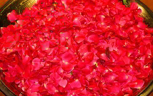Saraswati Suktam Pushpanjali (Flower Offering For Mental Resilience & Academic Excellence) at Kerala Powerspot