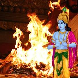 Individual Krishna Fire Lab