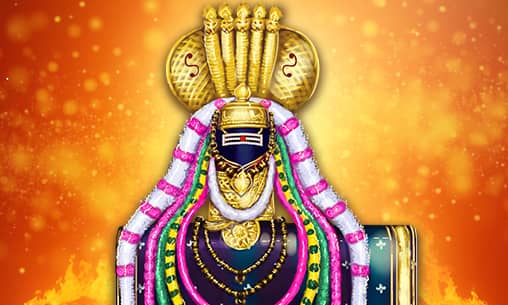 Special Chokkapanai Ritual (Worshipping Fire as Shiva) at Rameshwaram Powerspot