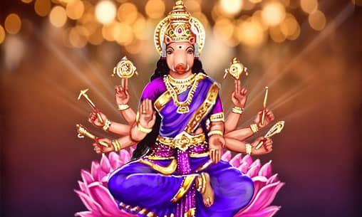 Swarna Varahi: Manifestation of Wealth and Divine Guardian