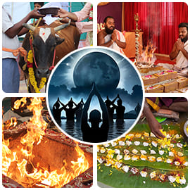 Individual Mahalaya Tarpanam Rituals at Salvation Vortices