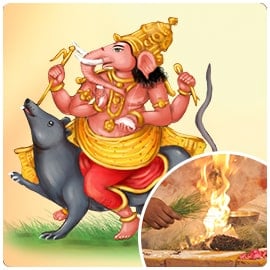 Individual Vijaya Ganapati Fire Lab
