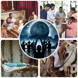 Mahalaya Paksha Advanced Plus Package 