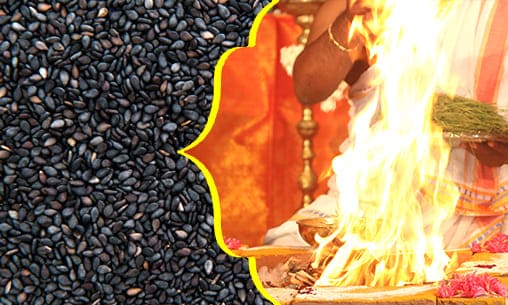 Thila Fire Lab With Sesame Seeds to Appease Ancestors on Maha Bharani & Madhyashtami Days at Salvation Vortex