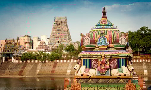 Grace Light Worship by Selvam Siddha as Per Siddha Tradition