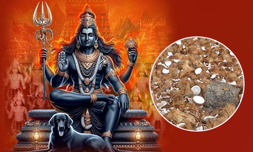 Drishti Mutturakal (Coconut Smashing Ritual to Remove Evil Eye) at Kerala Powerspot