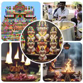 New Year Basic Package