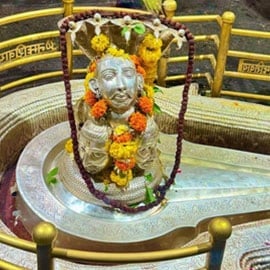 Individual Mrityunjaya Fire Lab Individual Mrityunjaya Fire Lab