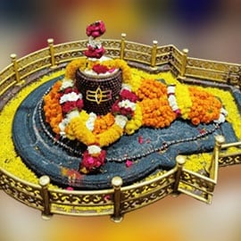 Individual Mrityunjaya Fire Lab Individual Mrityunjaya Fire Lab