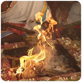 Homa Herbs Sponsorship Homa Herbs Sponsorship