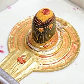 Individual Mrityunjaya Fire Lab Individual Mrityunjaya Fire Lab