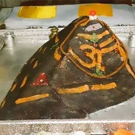 Individual Mrityunjaya Fire Lab Individual Mrityunjaya Fire Lab