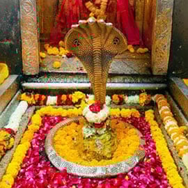 Individual Mrityunjaya Fire Lab Individual Mrityunjaya Fire Lab