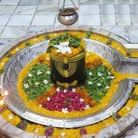 Individual Mrityunjaya Fire Lab Individual Mrityunjaya Fire Lab