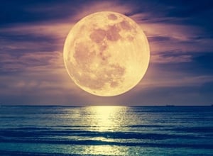 Free: Guru Purnima Community Events